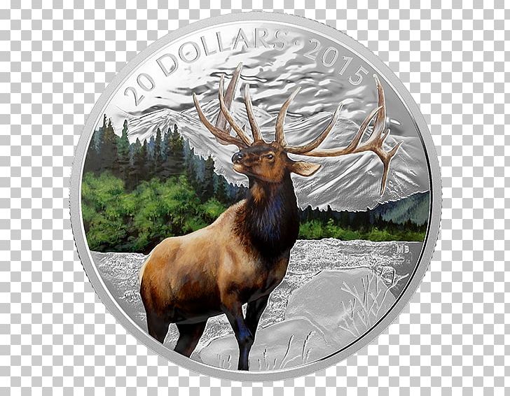 Majestic Elk Reindeer Antler PNG, Clipart, Animals, Antler, Bullion Coin, Canada, Coin Free PNG Download