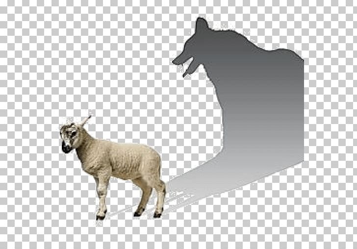 Wolf In Sheep's Clothing Gray Wolf Shepherd Herder PNG, Clipart,  Free PNG Download