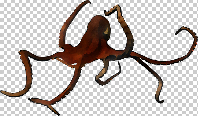 Giant Pacific Octopus Octopus Octopus Animal Figure Insect PNG, Clipart, Animal Figure, Giant Pacific Octopus, Insect, Octopus Free PNG Download