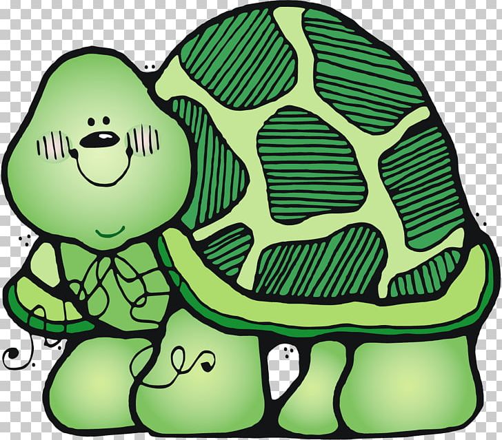 Tortoise Turtle Non-fiction I'll Follow The Moon Kindergarten PNG, Clipart,  Free PNG Download