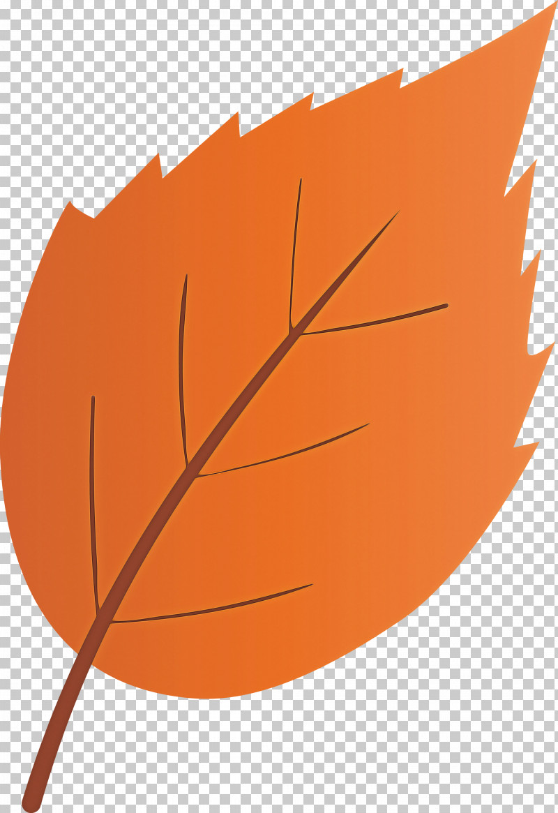 Orange PNG, Clipart, Leaf, Line, Orange, Plant, Tree Free PNG Download