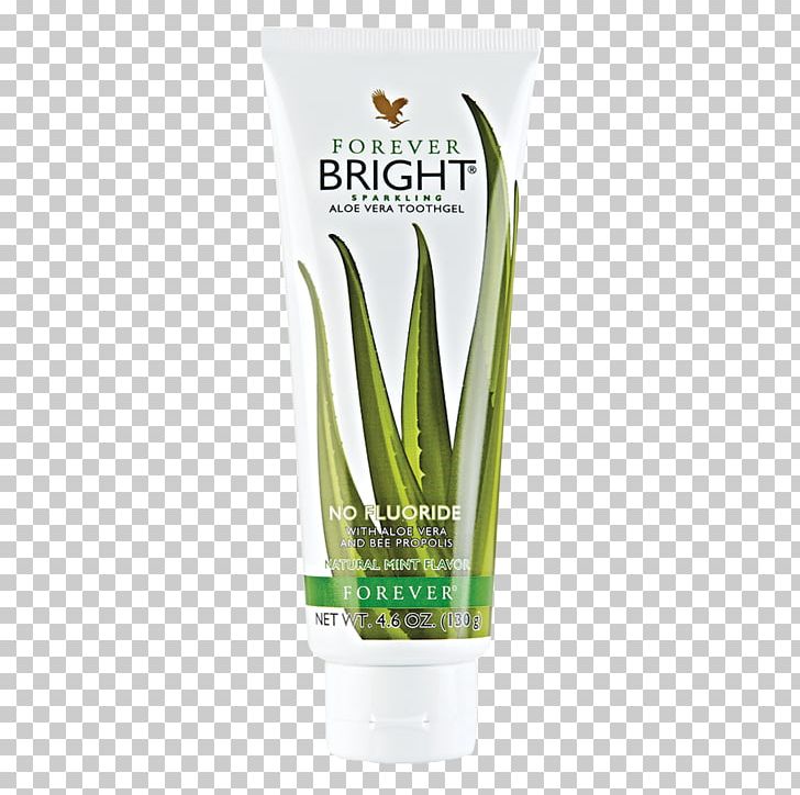 Aloe Vera Forever Living Products Gel Lotion Tooth PNG, Clipart, Aloe, Aloe Vera, Bright, Cream, Essential Oil Free PNG Download