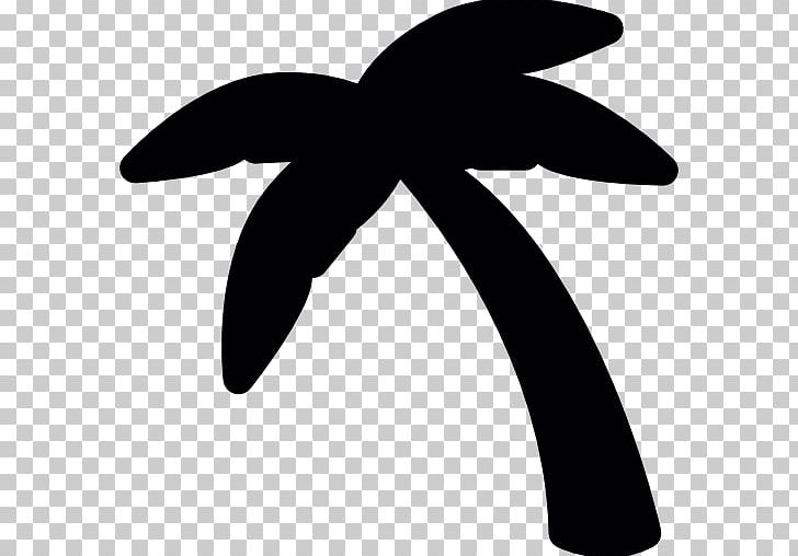Arecaceae Coconut Tree Computer Icons PNG, Clipart, Angle, Arecaceae, Black And White, Coconut, Coconut Tree Free PNG Download