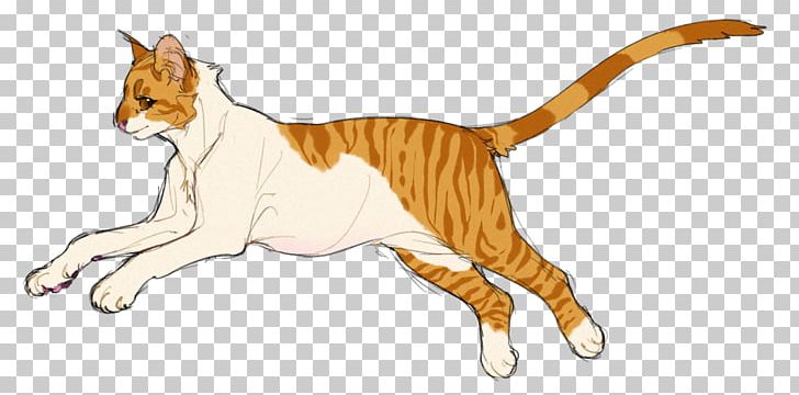 Whiskers Kitten Domestic Short-haired Cat Wildcat PNG, Clipart, Animal, Animal Figure, Animals, Artwork, Canidae Free PNG Download