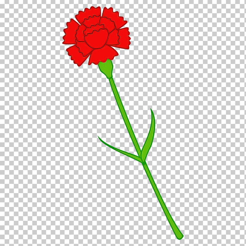 Carnation Flower PNG, Clipart, Carnation, Cut Flowers, Flower, Pedicel, Pink Family Free PNG Download