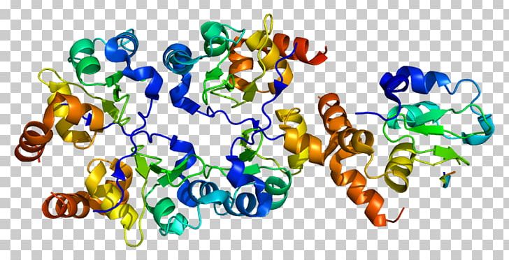 BIRC7 Gene Protein RING Finger Domain Microphthalmia-associated Transcription Factor PNG, Clipart, 3 Gt, 3 H, 7 G, 7 H, Art Free PNG Download