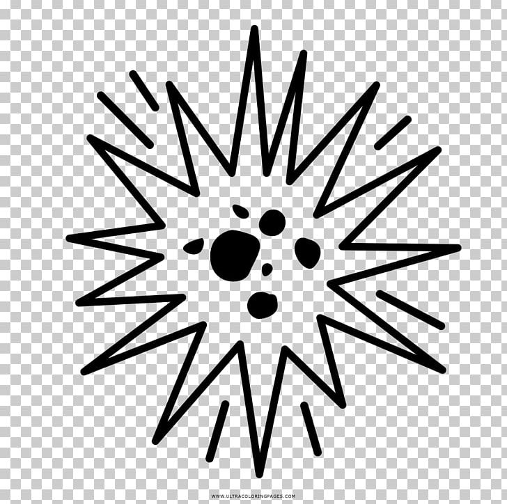 Coloring Book Explosion Drawing Painting PNG, Clipart, Angle, Black, Black And White, Book, Circle Free PNG Download