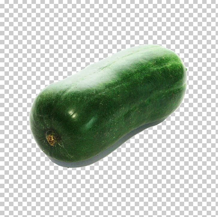 Cucumber Cantaloupe Wax Gourd Melon Vegetable PNG, Clipart, Bitter Melon, Bitterness, Cantaloupe, Cucumber, Delicious Melon Free PNG Download