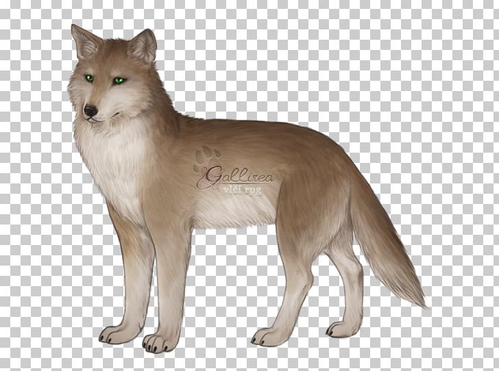 Saarloos Wolfdog Red Fox Coyote Thylacine 3D Computer Graphics PNG, Clipart, 3d Computer Graphics, American Marten, Animal, Canis Lupus Tundrarum, Carnivoran Free PNG Download