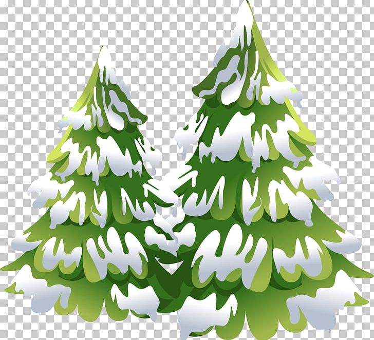 Spruce Fir Tree Drawing PNG, Clipart, Branch, Cartoon, Christmas Decoration, Christmas Ornament, Christmas Tree Free PNG Download