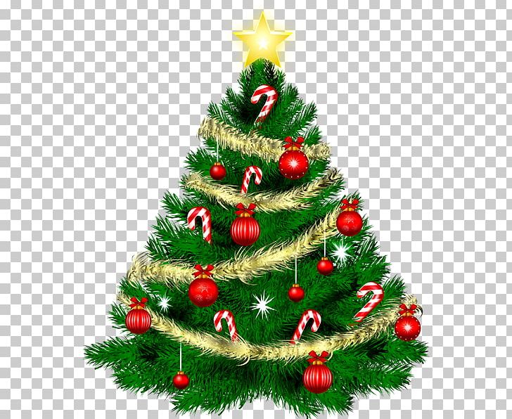 Christmas Day Christmas Ornament Christmas Tree Merry Christmas Candle PNG, Clipart, Candle, Christmas, Christmas Candles, Christmas Card, Christmas Day Free PNG Download