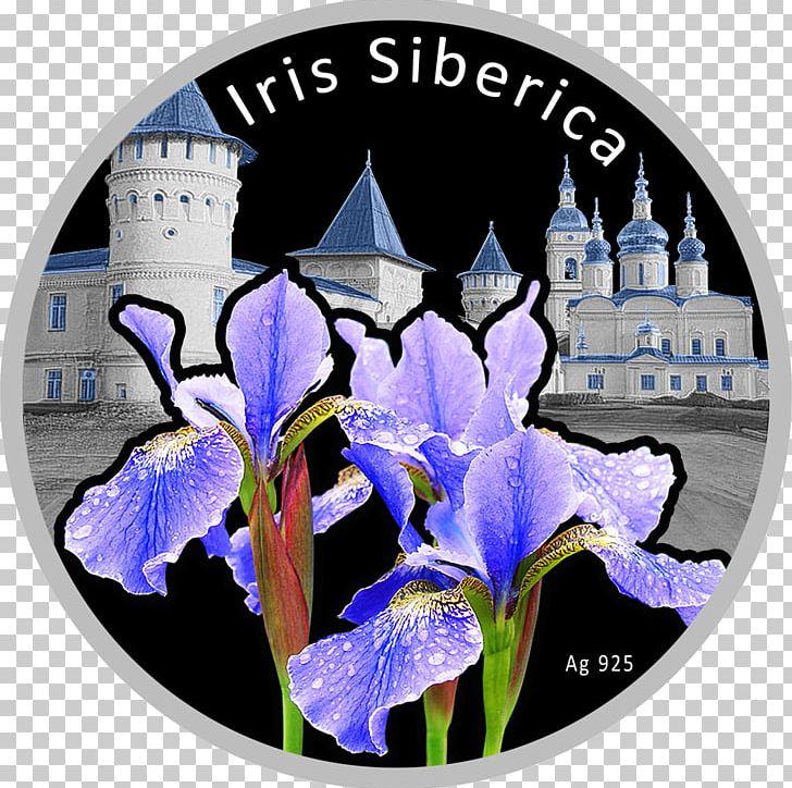 Irises Silver Coin Silver Coin Niue PNG, Clipart, 50 Euro Note, Coin, Commemorative Coin, Euro, Flower Free PNG Download