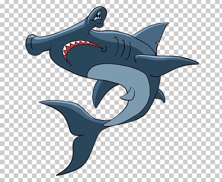Tiger Shark Requiem Shark Dolphin PNG, Clipart, Animals, Biology, Carcharhiniformes, Cartilaginous Fish, Dolphin Free PNG Download