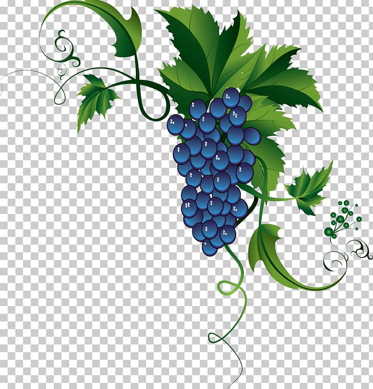 Common Grape Vine Cognac カーネフェリーチェ PNG, Clipart, Bilberry, Cognac, Common Grape Vine, Flowering Plant, Food Free PNG Download