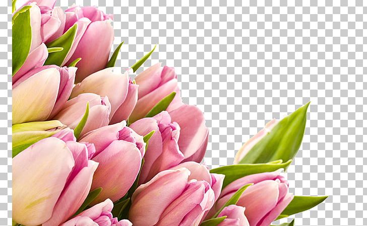 Flower 1080p High-definition Video High-definition Television PNG, Clipart, 720p, 1080p, 1610, Aspect, Bouquet Of Flowers Free PNG Download