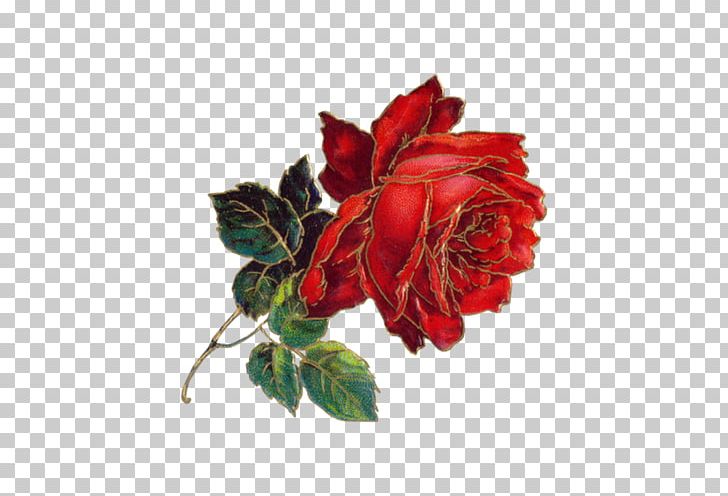 Flower Victorian Era Bokmxe4rke Antique PNG, Clipart, Art, Floral Design, Flowering Plant, Garden Roses, Hand Free PNG Download