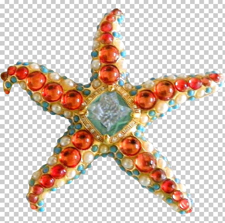Jewellery Bead Starfish Invertebrate Jewelry Design PNG, Clipart, Animals, Bead, Invertebrate, Jewellery, Jewelry Design Free PNG Download