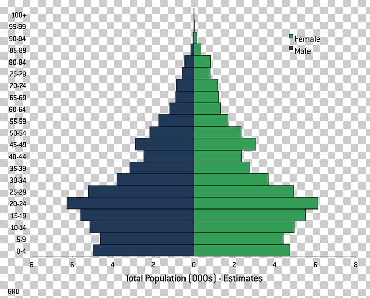Population Pyramid Nicaragua Literacy Demography PNG, Clipart, Christmas Tree, Cone, Country, Demographic Statistics, Demography Free PNG Download