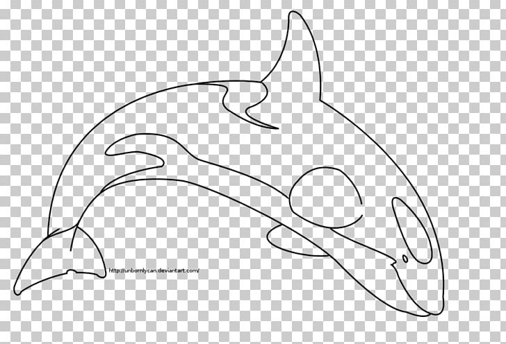 Dolphin Line Art Drawing Killer Whale PNG, Clipart, Animals, Artwork, Beak, Black And White, Cartoon Free PNG Download