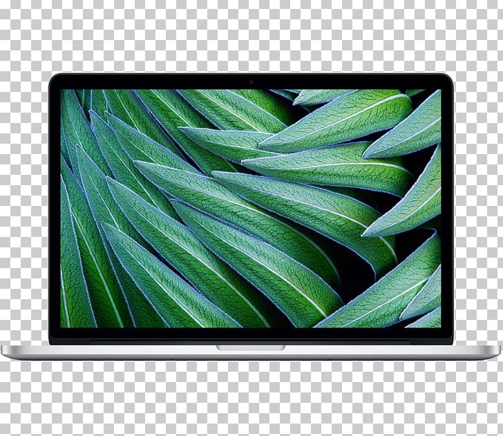 MacBook Pro 13-inch Laptop MacBook Air PNG, Clipart, Computer, Ddr3 Sdram, Electronics, Grass, Green Free PNG Download
