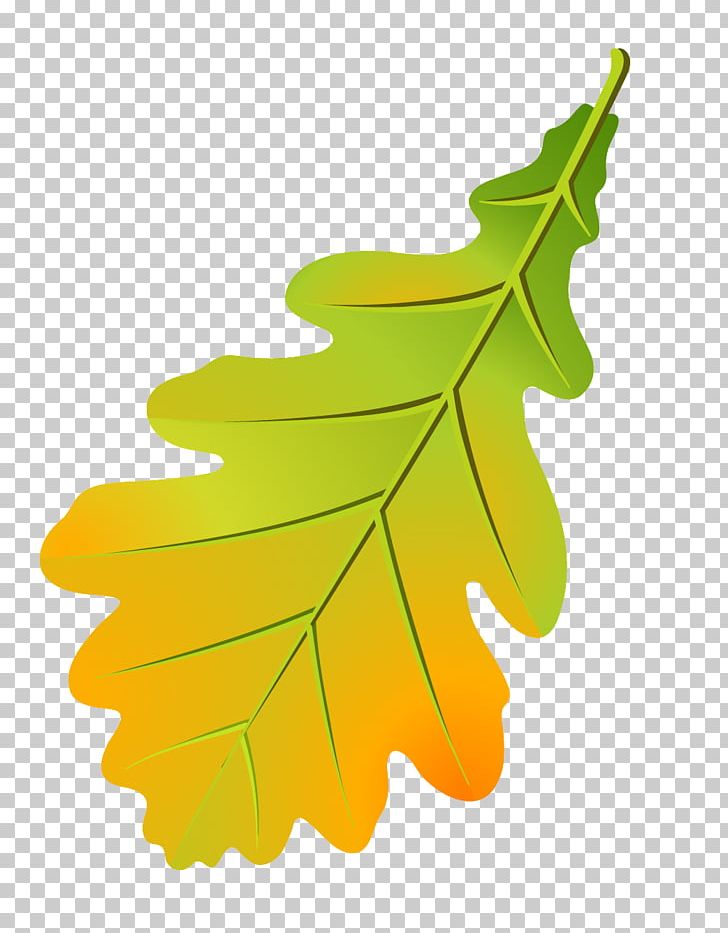 Oak Leaf Cluster Tree Leaflet Autumn Leaf Color PNG, Clipart, Acorn, Autumn, Autumn Leaf Color, Autumn Leaves, Birch Free PNG Download