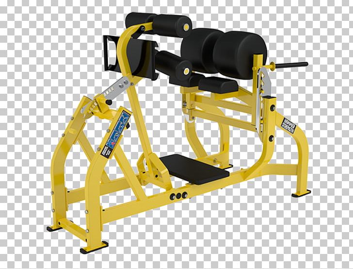 Bench Strength Training Exercise Equipment Gluteus Maximus Gluteal