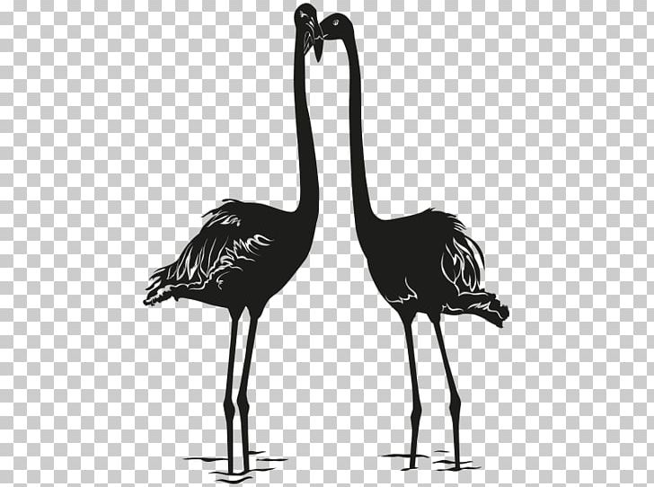 Bird Photography Drawing PNG, Clipart, Animals, Beak, Bird, Black And White, Crane Free PNG Download