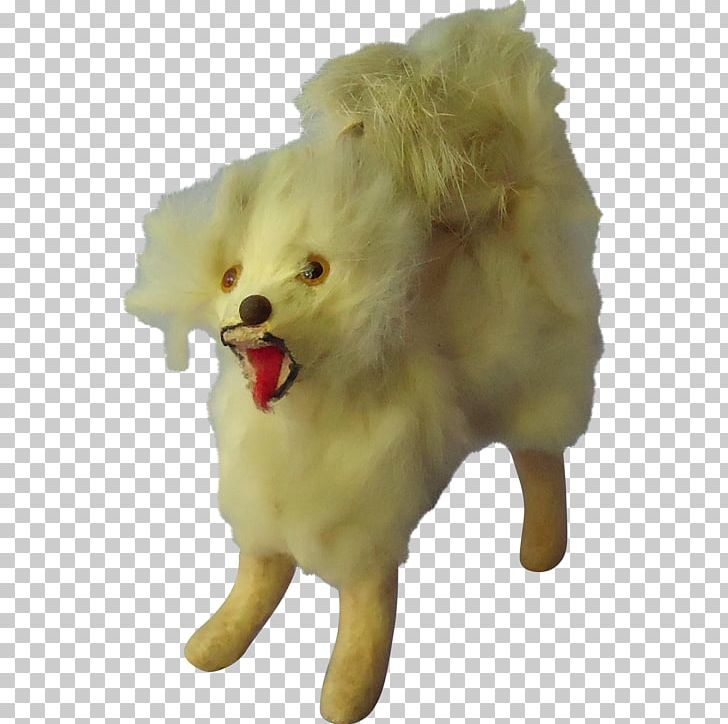 Dog Breed Pomeranian Samoyed Dog Companion Dog Snout PNG, Clipart, Antique, Breed, Carnivoran, Companion Dog, Dog Free PNG Download