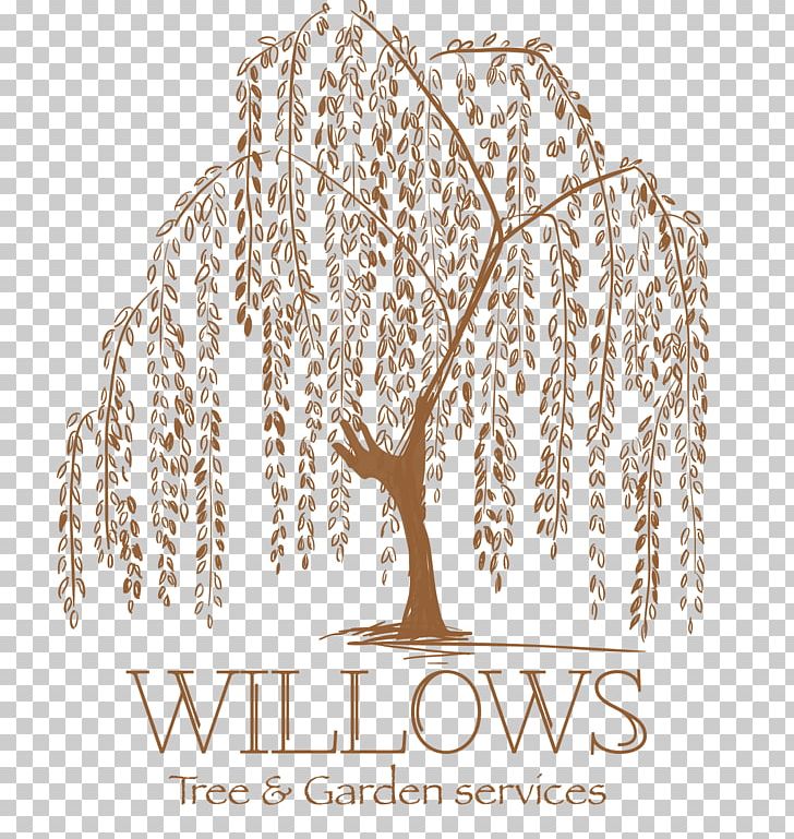 Weeping Willow Tattoo Artist Tree Drawing PNG, Clipart, Body Art, Brand, Chinese Calligraphy Tattoos, Deciduous, Drawing Free PNG Download