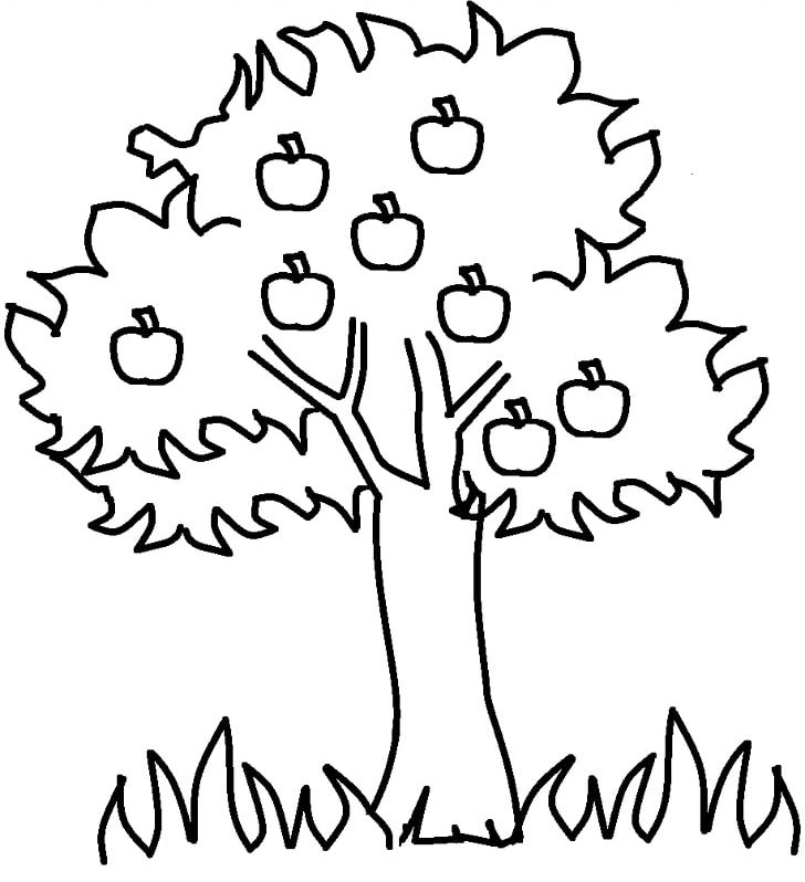 apple tree clip art black and white