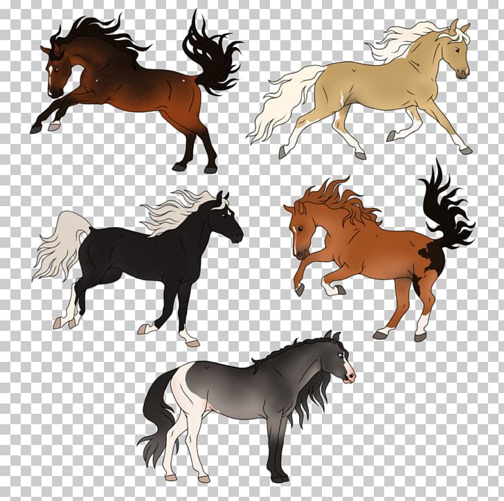 Mustang Stallion Foal Colt Mare PNG, Clipart, Colt, Fauna, Foal, Horse, Horse Like Mammal Free PNG Download