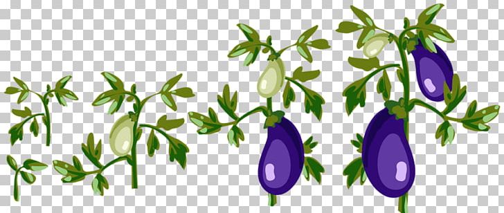 Vegetable Eggplant Illustration PNG, Clipart, Adobe Illustrator, Auglis, Eggplant, Flora, Floral Design Free PNG Download