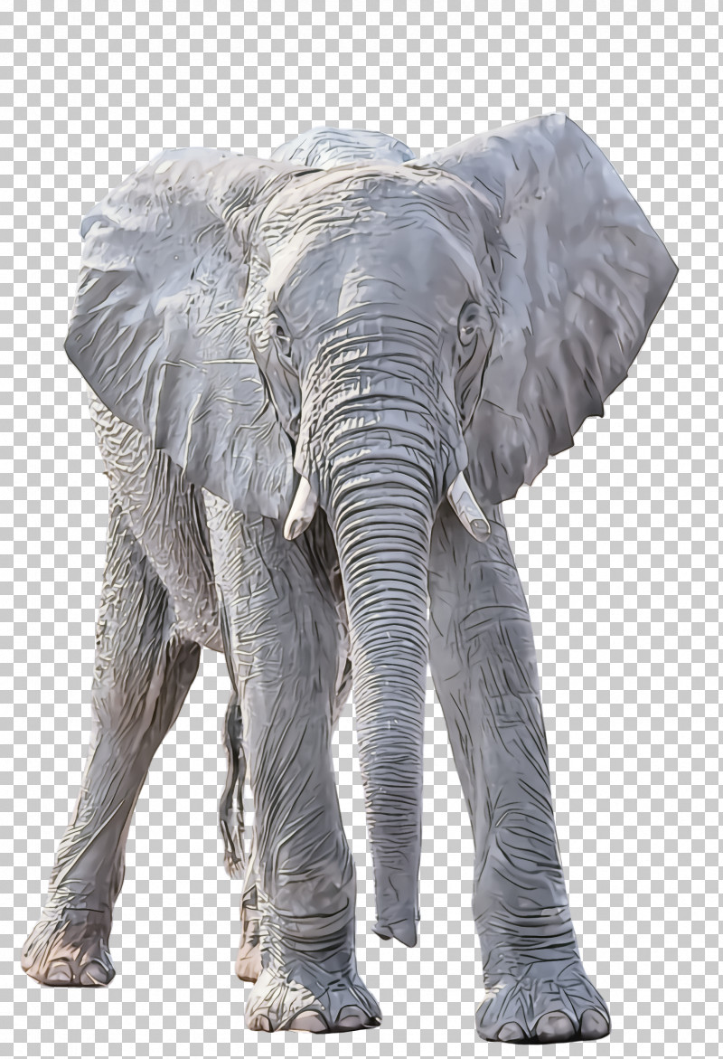 Indian Elephant PNG, Clipart, African Elephant, Animal Figure, Elephant, Indian Elephant, Snout Free PNG Download