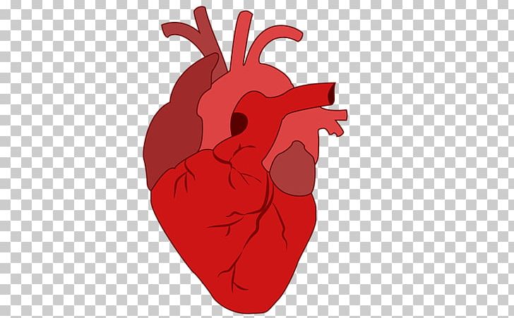 Beyond Training: Mastering Endurance PNG, Clipart, Fictional Character, Hand, Heart, Human Body, Miscellaneous Free PNG Download