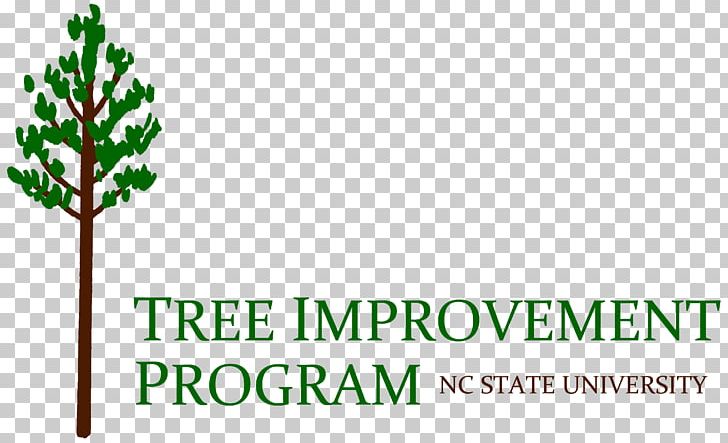 NCSU Tree Improvement Cooperative Logo Forest Branch PNG, Clipart, Branch, Brand, Cooperative, Fir, Forest Free PNG Download