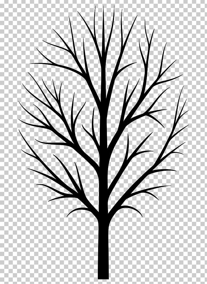 Silhouette Tree PNG, Clipart, Animals, Artwork, Birch, Black And White, Branch Free PNG Download