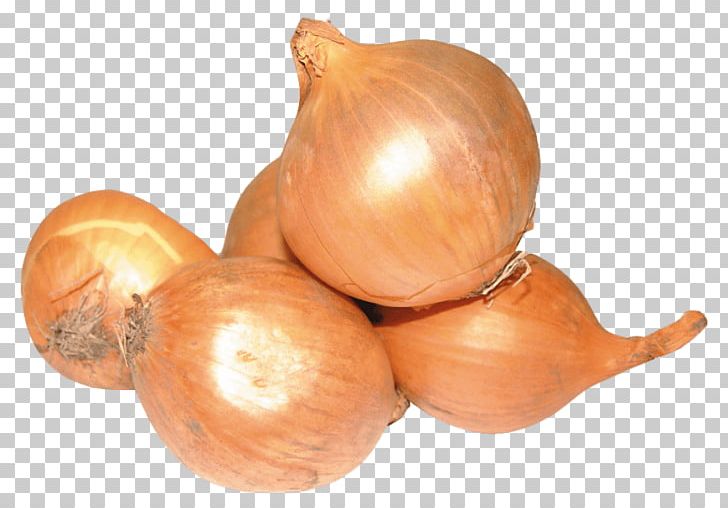 Yellow Onion French Onion Soup Shallot Portable Network Graphics Vegetable PNG, Clipart, Bulb, Computer Icons, Desktop Wallpaper, Download, Food Free PNG Download