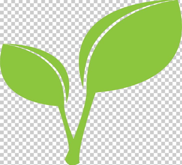 Leaf Green PNG, Clipart, Autumn Leaf Color, Brand, Computer Icons, Desktop Wallpaper, Download Free PNG Download