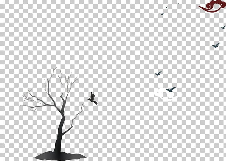 Bird Black And White Love Of Christ A.M.E.Zion Tabernacle PNG, Clipart, Angle, Animals, Bird, Bird Cage, Birds Free PNG Download
