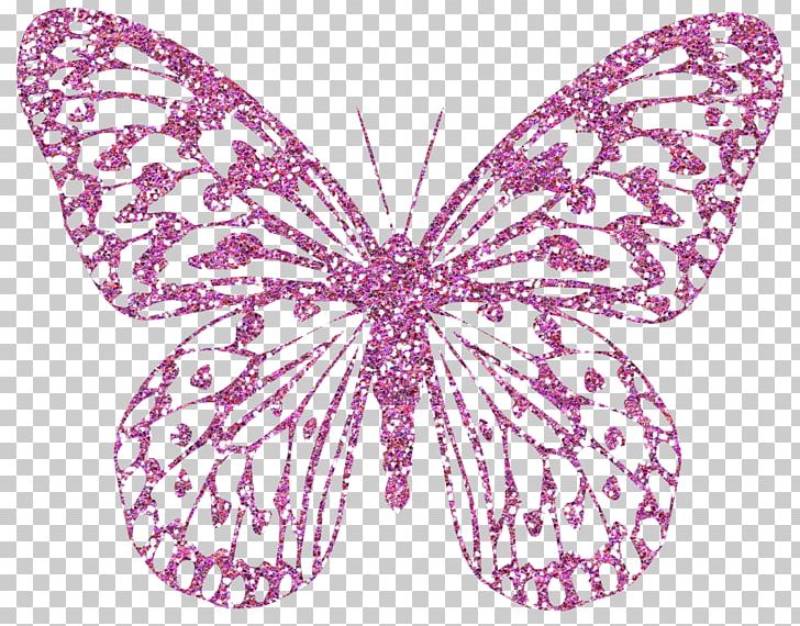 Butterfly Information PNG, Clipart, Arthropod, Brush Footed Butterfly, Butterfly, Clip Art, Color Free PNG Download