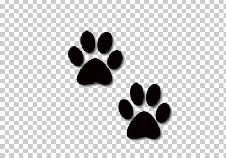 Cat Paw Dog Giant Panda PNG, Clipart, Animals, Art, Black, Black And White, Blog Free PNG Download