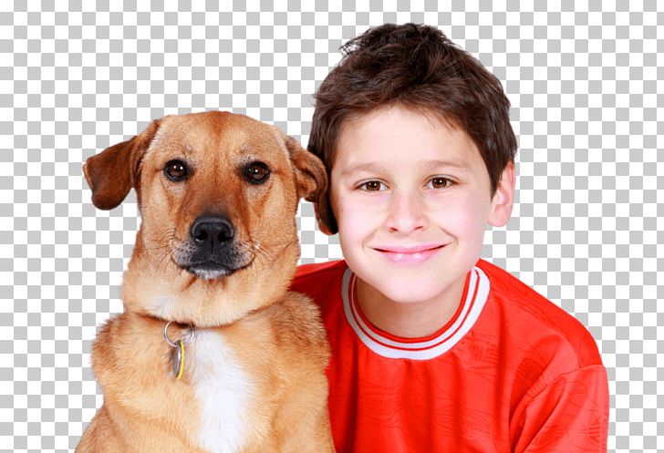 Labrador Retriever Pet Basset Hound Puppy Service Dog PNG, Clipart, Animals, Autism, Autism Service Dog, Basset Hound, Boy Free PNG Download