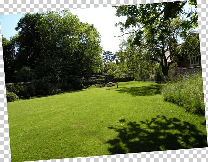 Property Landscape Land Lot Pond Grasses PNG, Clipart, Backyard, Bracken, Estate, Family, Garden Free PNG Download