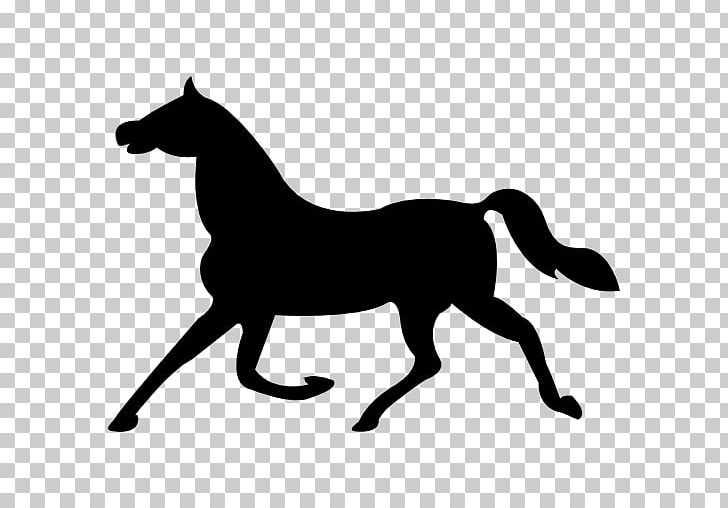 Tennessee Walking Horse Trot Arabian Horse Computer Icons Horse Head Mask PNG, Clipart, Animal, Animal Figure, Arabian Horse, Black, Colt Free PNG Download
