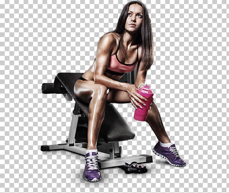 Weightlifting Machine Sport Personal Trainer Weight Training Physical Fitness PNG, Clipart, Abdomen, Arm, Bench, Calf, Coach Free PNG Download