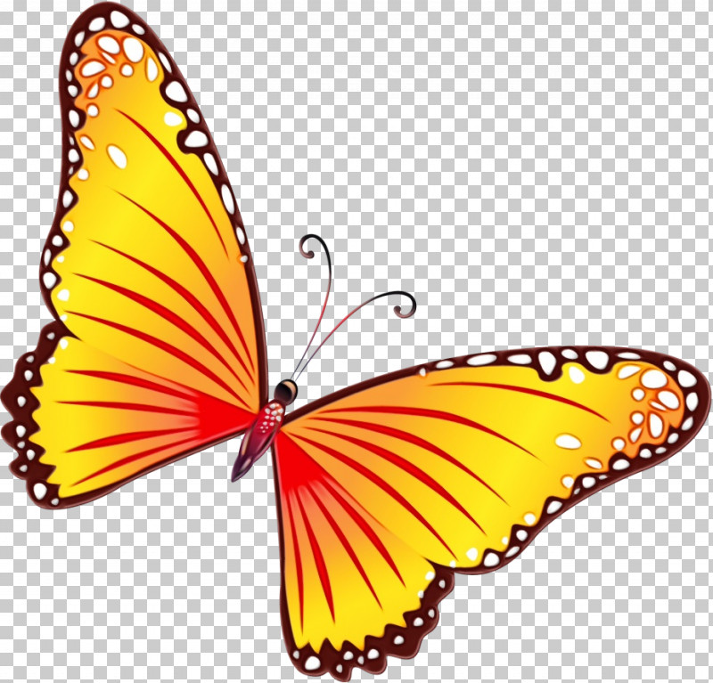 Monarch Butterfly PNG, Clipart, Brushfooted Butterflies, Butterflies, Glasswing Butterfly, Halloween Butterfly, Insect Free PNG Download