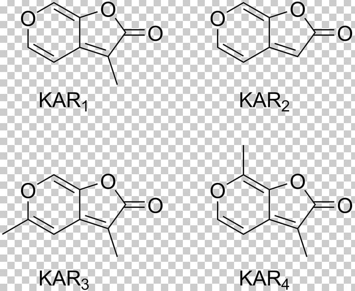 Karrikin Butenolide Lactone Plant Hormone Germination PNG, Clipart, 2pyrone, Angle, Area, Auto Part, Black And White Free PNG Download