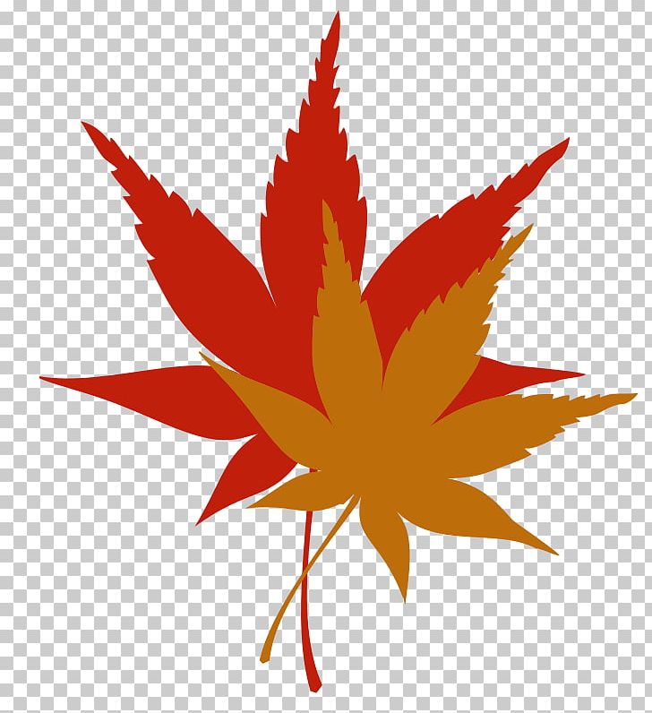 Maple Leaf Autumn Leaf Color PNG, Clipart, Autumn, Autumn Leaf Color, Color, Flower, Flowering Plant Free PNG Download