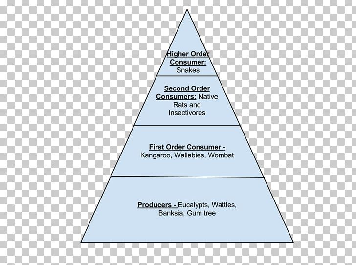 Triangle Area Pyramid Diagram PNG, Clipart, Angle, Area, Art, Brand, Cone Free PNG Download