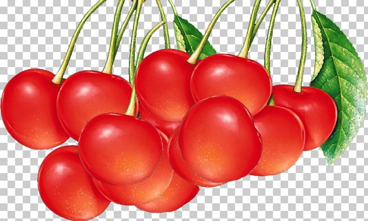 Berry Fruit Cherry Vegetable PNG, Clipart, Apple, Bell Pepper, Berry, Bush Tomato, Cherries Free PNG Download